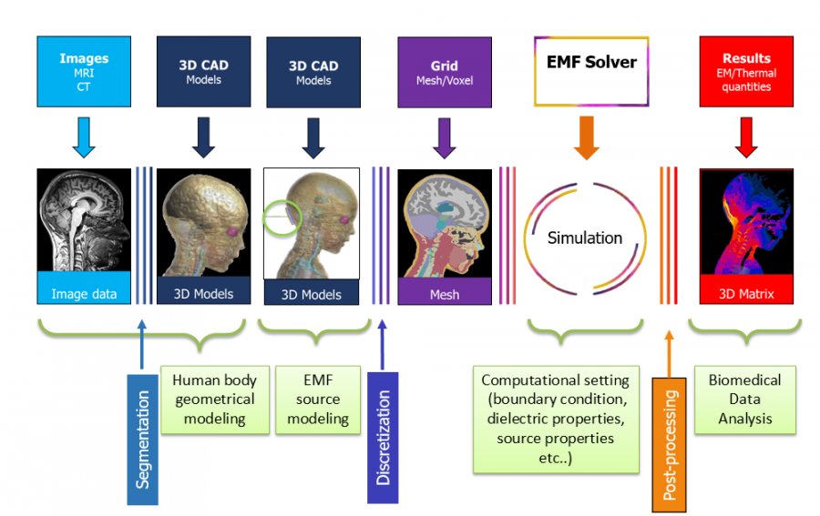 Computational dosimetry: workflow