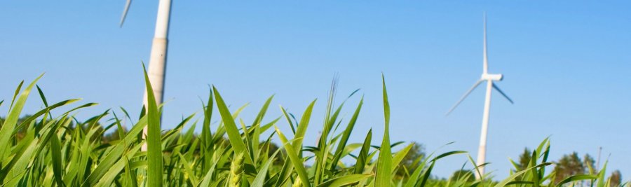 Turbine eoliche che si ergono tra l'erba verde, sotto un cielo sereno e blu.