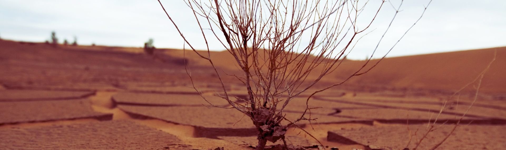 Immagine di presentazione 1 