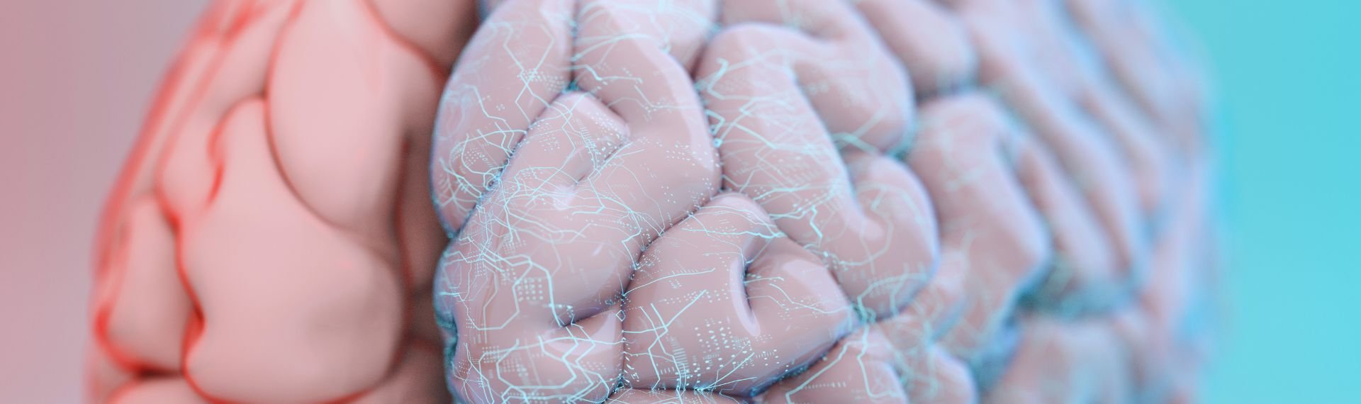 Immagine di presentazione 1 