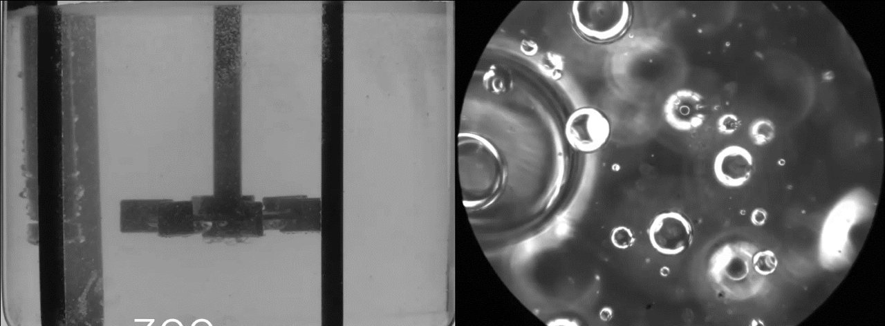 Immagine di presentazione 1 