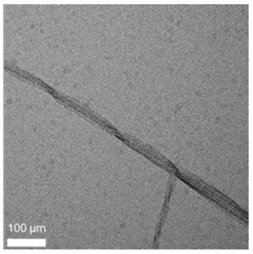 Immagine di presentazione 1 