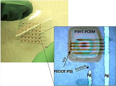 Matrice di fotorivelatori basati su semiconduttori organici realizzati su substrato plastico tramite tecnica a getto di inchiostro. L'ingrandimento al microscopio mostra il singolo dispositivo.