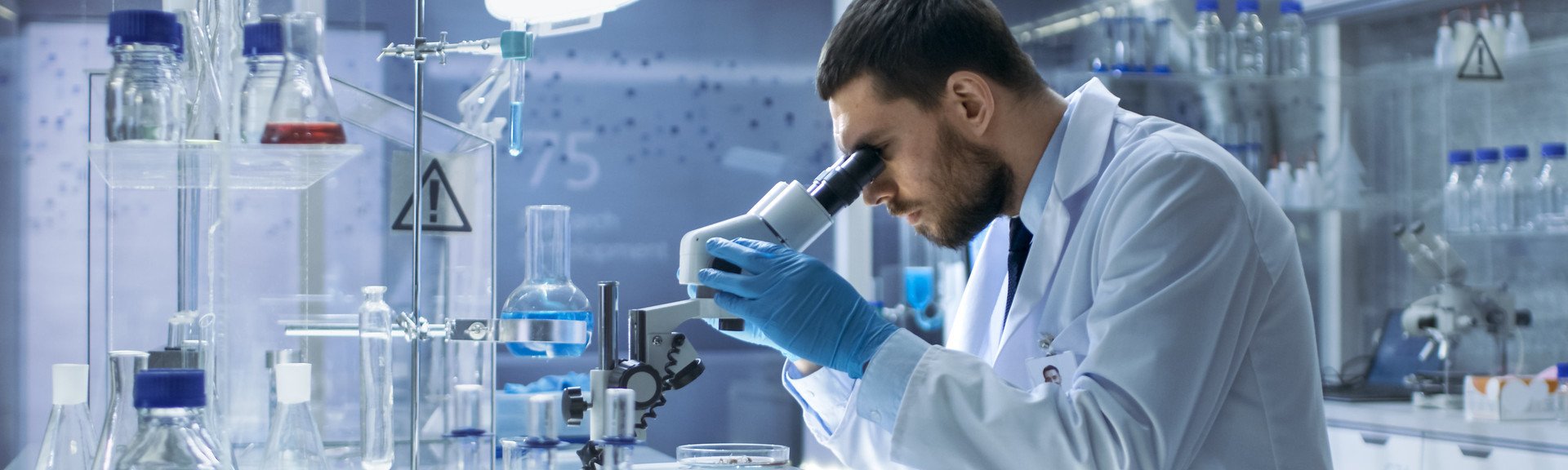 Immagine di presentazione 1 