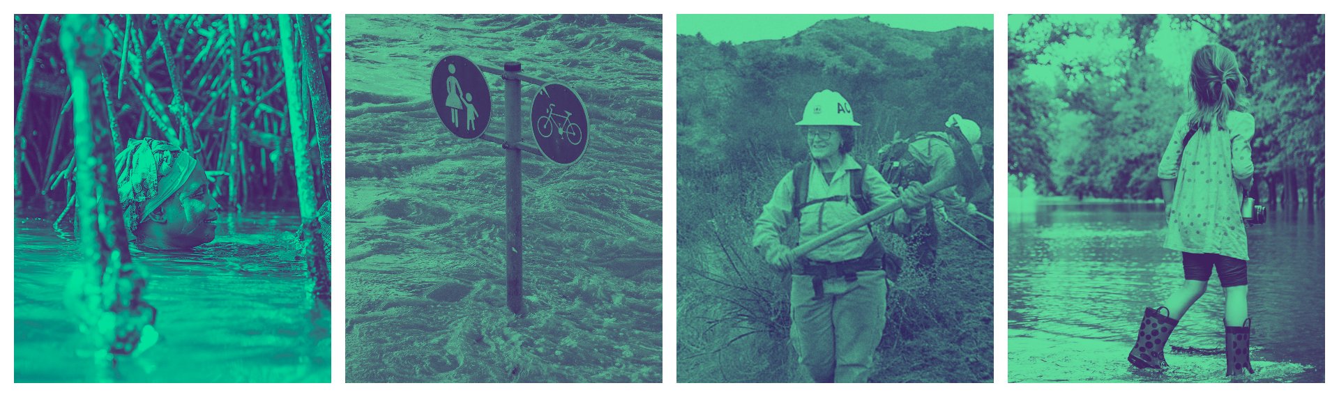 Immagine di presentazione 1 