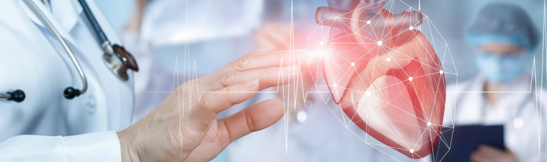 Immagine di presentazione 1 