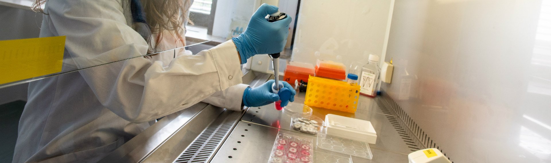 Immagine di presentazione 1 