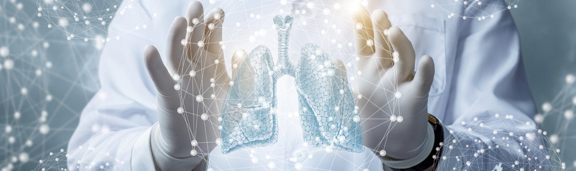 Immagine di presentazione 1 