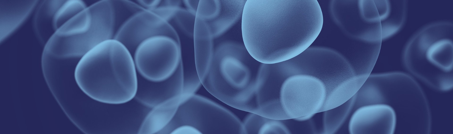 Immagine di presentazione 1 