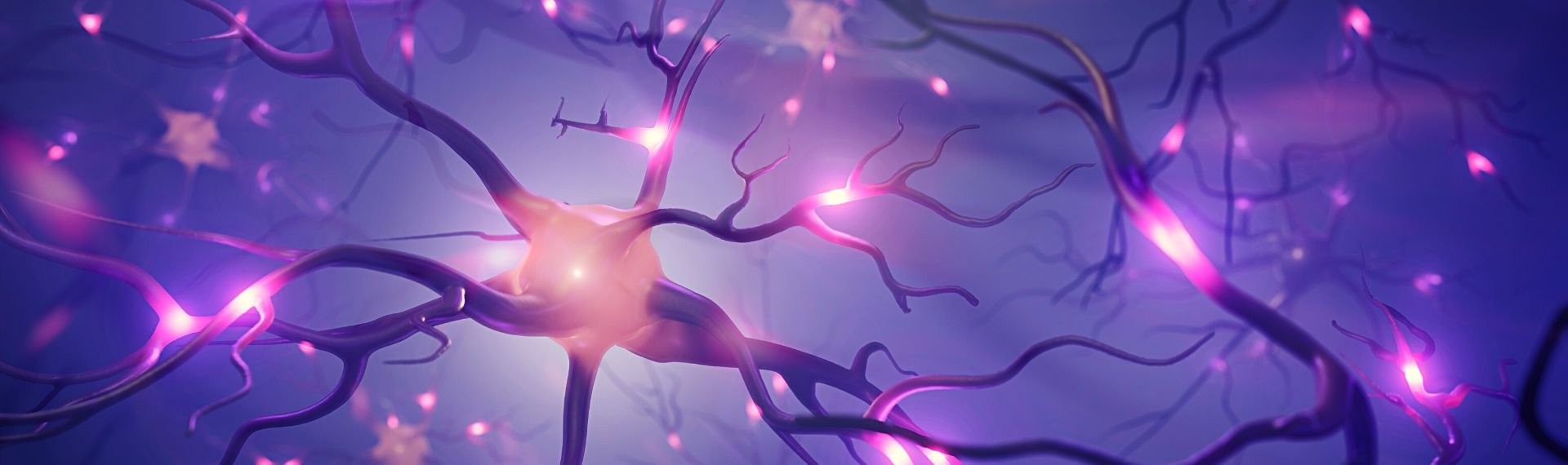 Immagine di presentazione 1 