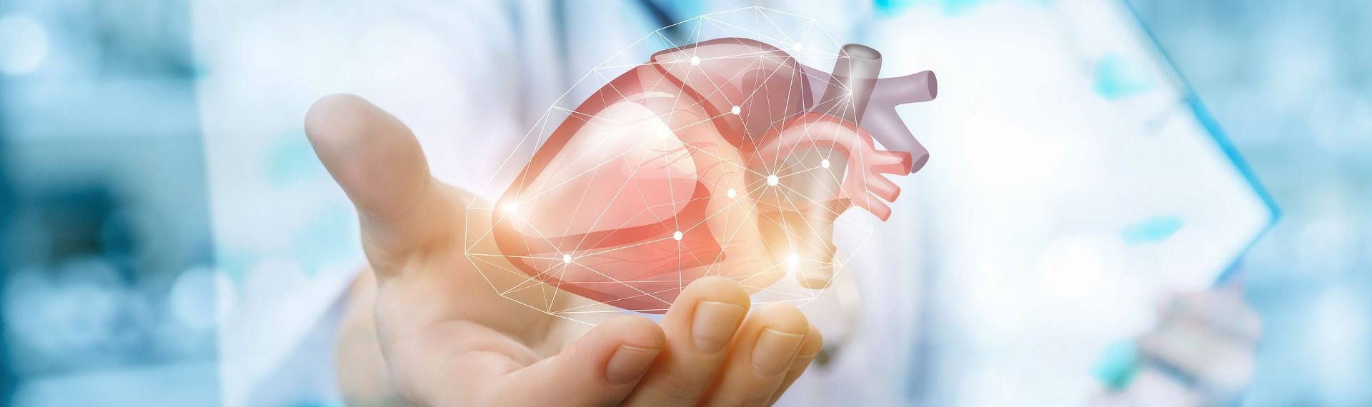 Immagine di presentazione 1 