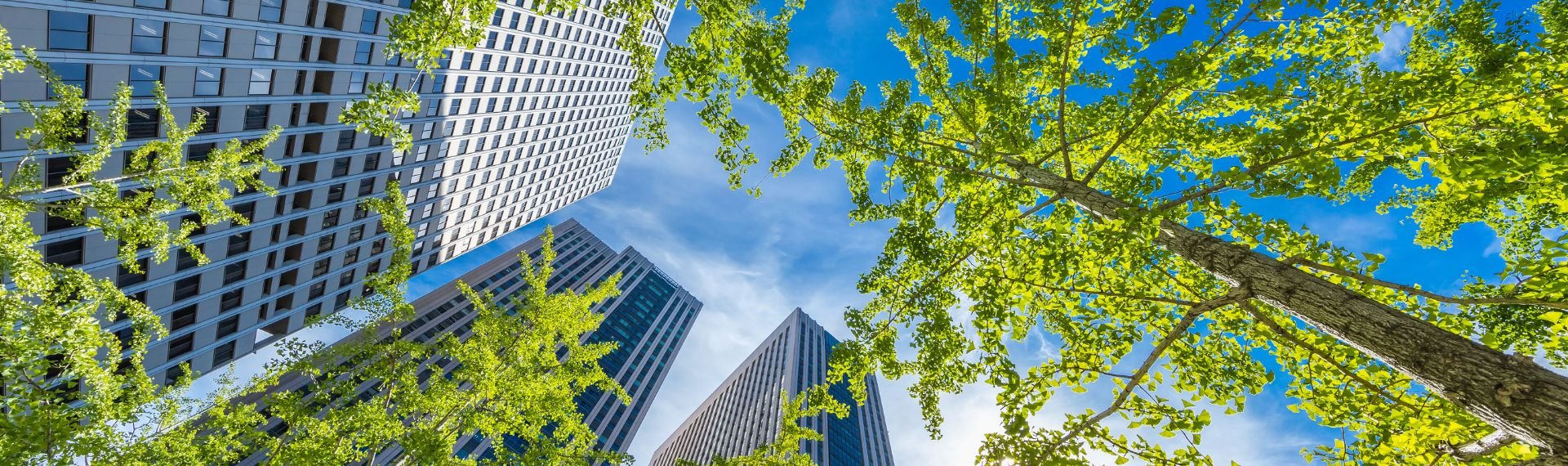 Immagine di presentazione 1 