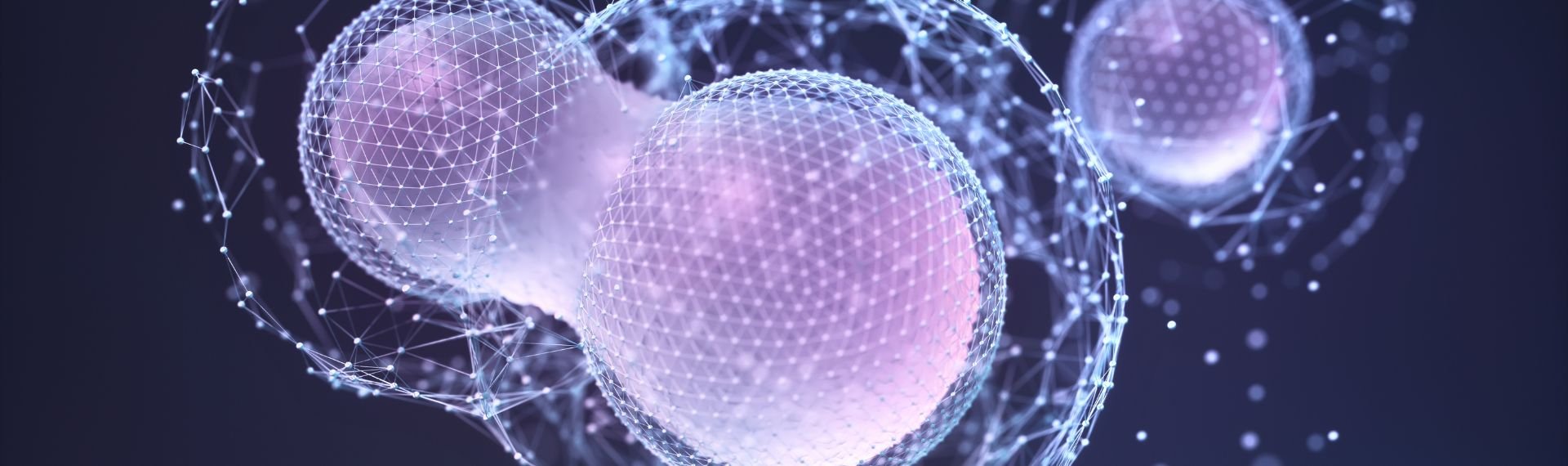 ISCB assegna il Degree-Granting Endorsement al Corso di Laurea Magistrale in Bioinformatics for Computational Genomics